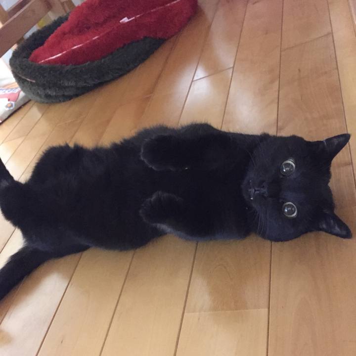 E57c80a3 576b 4ccd 92d3 e194b3bcd4ac