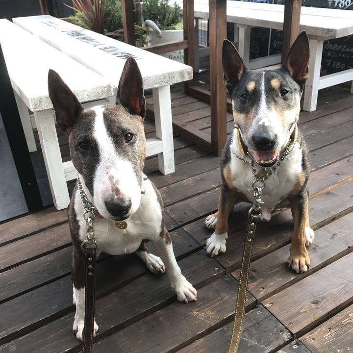 E57c83a6 2e7d 4d69 adbb 0bafdacf3a6e