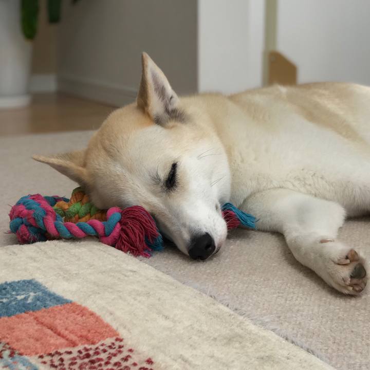 E57ca42c ef95 45a2 9323 df2945bb5fb4