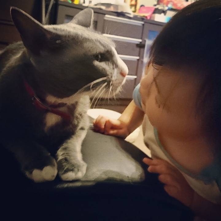 E57ccd0e 6f3a 4ec4 8ba3 305a7b91af5e