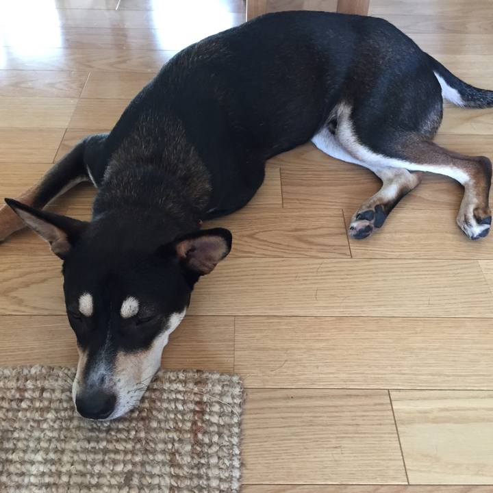 E57cf162 59a7 4a5c bc98 f71b88bfd4ba