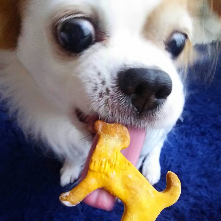 E57d0984 32cf 4e63 9987 47d857e3fc37