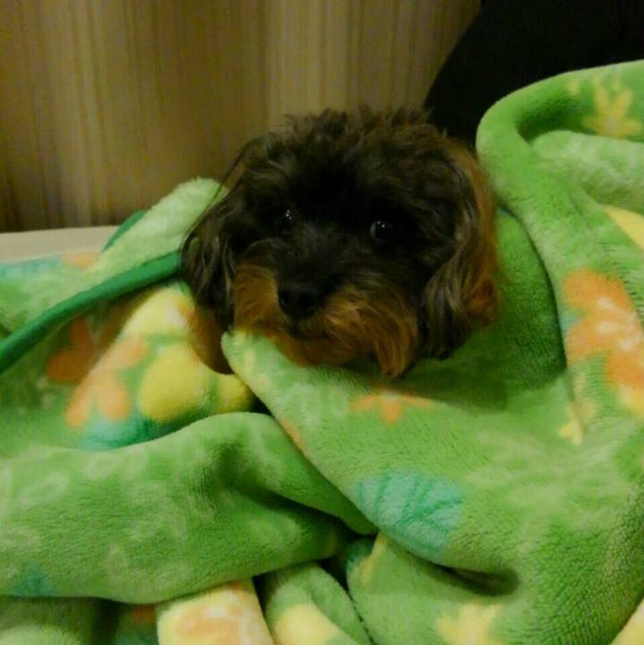 E57dc631 54da 4db1 b66f 280298dc7afc