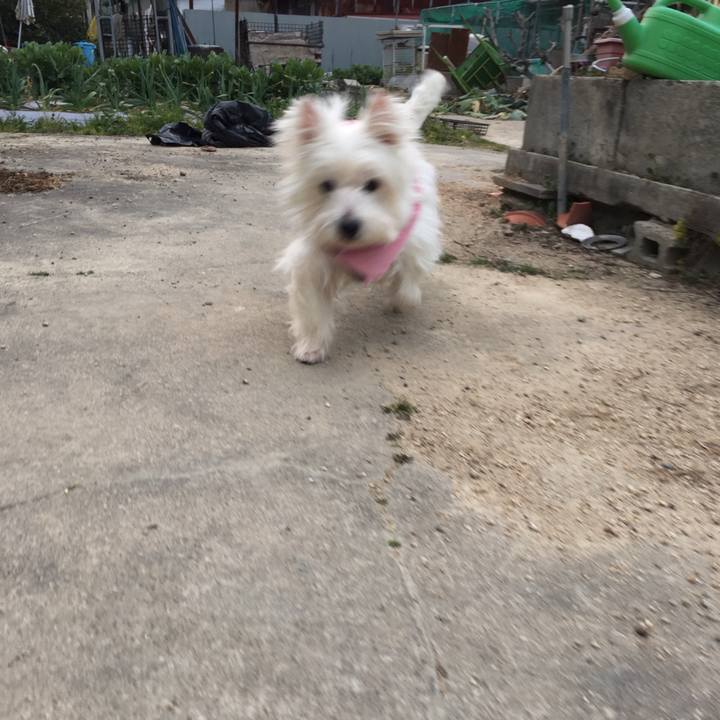 E57dd79c 2bd3 486b a7b9 24da38cb95c1