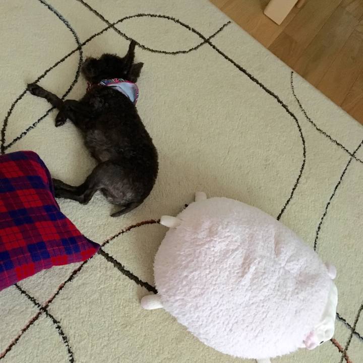 E57e3cb9 1acb 4728 9753 0d0913c7c233