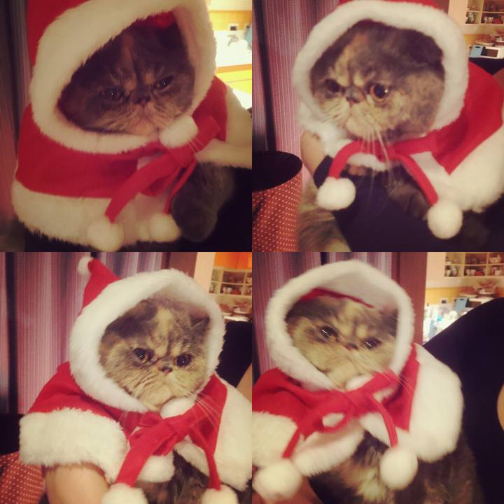 E57ed369 c2e6 4593 b402 216d43114acb