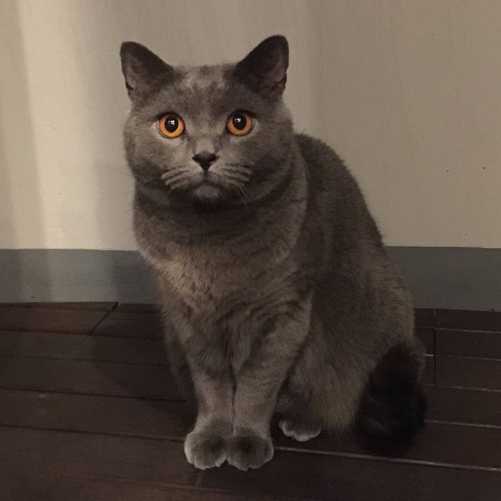 E57f73cf b88b 410b b7cf 2b443e7bac6b