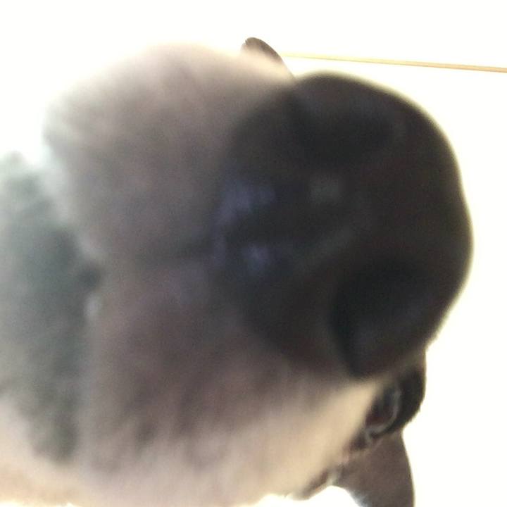 E57fb9a4 1472 4404 8f25 b493819a49e5