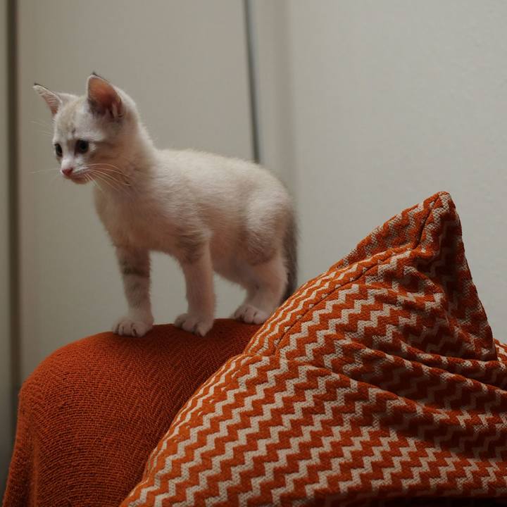 E57ff29e 73ca 486b 9de7 57c5b214367a