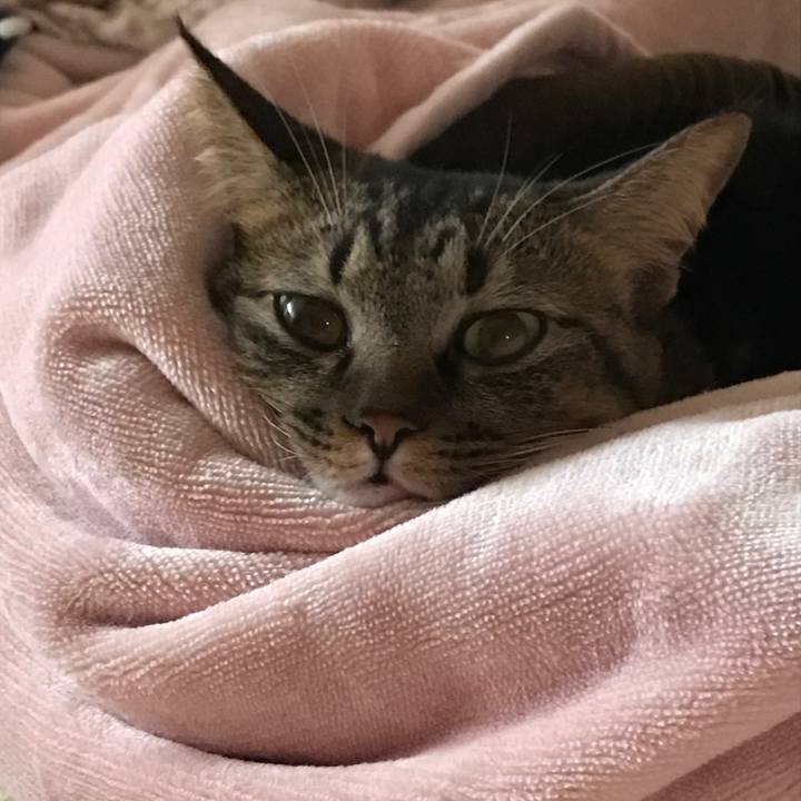 E580615d 614f 4296 bbf3 0ce807cb61a8