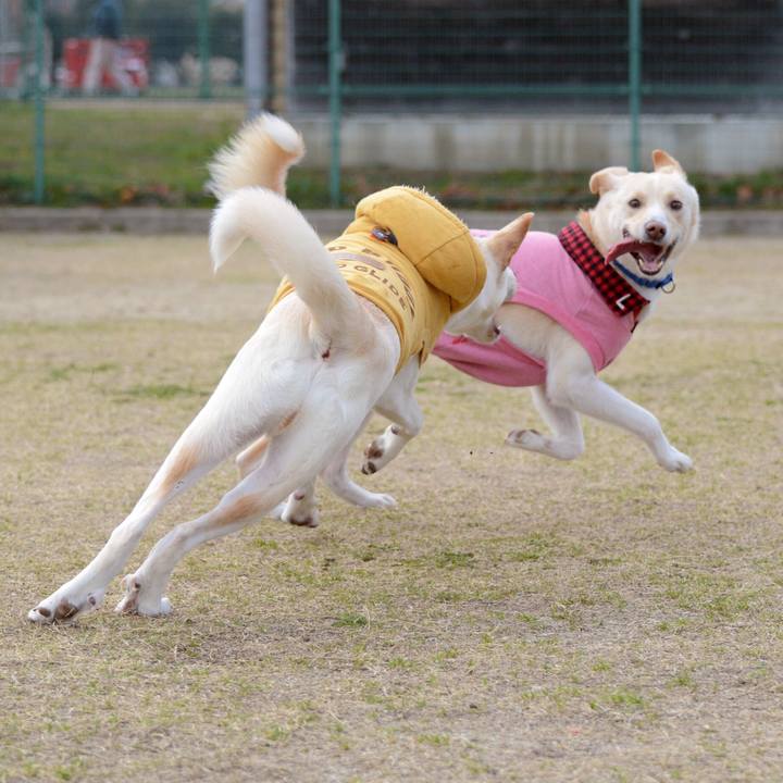 E580cac8 4350 4ffe 87c6 b0838e29f11b