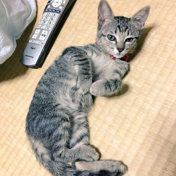 E5814fdf 263a 4995 b72e 905ee30cd6d6