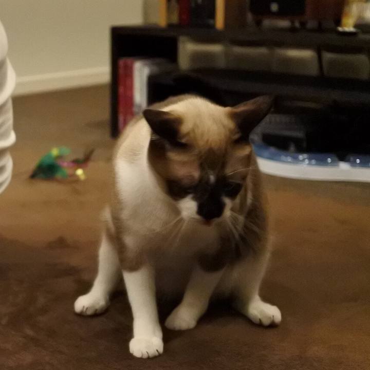 E581dc06 4875 4b2b 89bb 86b785fe7e56