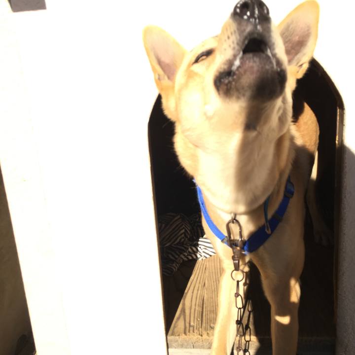 E5825c28 f3d9 4ed2 8f12 d58599341b01