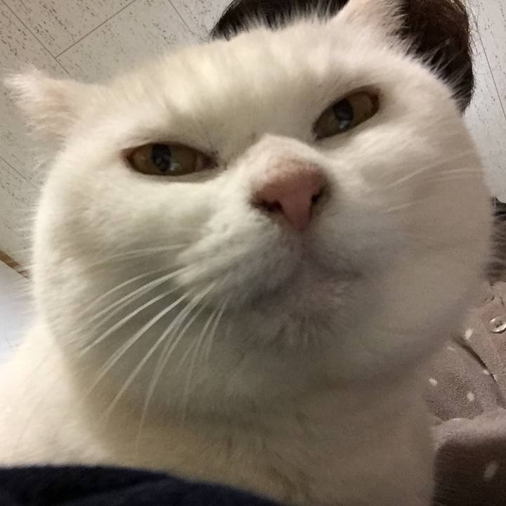 E582b298 70ff 4c37 aa8e 2058a3a85bc3