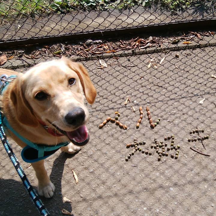 E582b3b7 b906 426d 8c29 a4ee384abac7