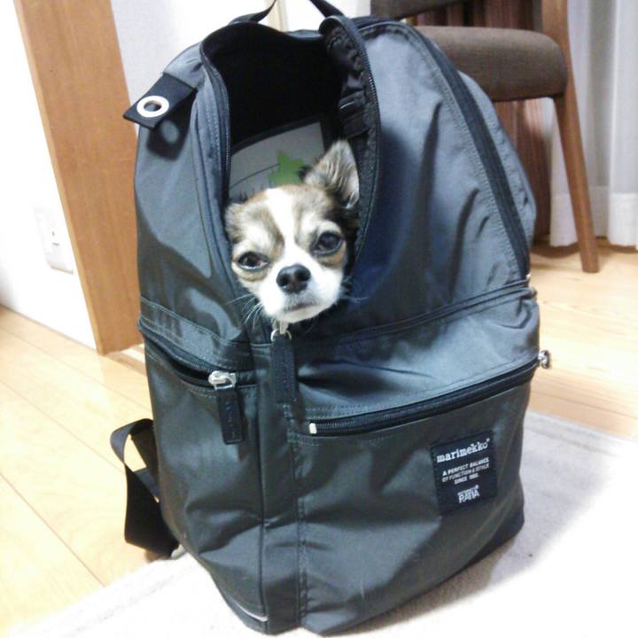 E5838c1c 5c49 4d8c 8b3e a990f10e7ce7