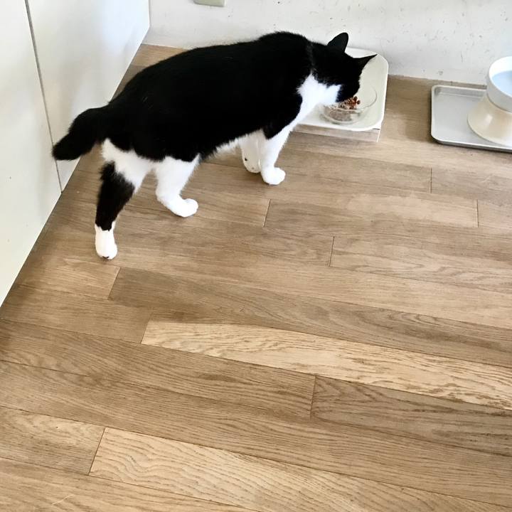 E5839712 731d 4201 9f2c b968e4fb71c6