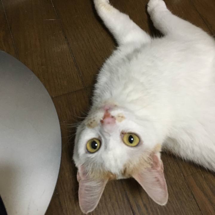 E583edc4 0dc4 4873 a190 39cdf6a56ae8