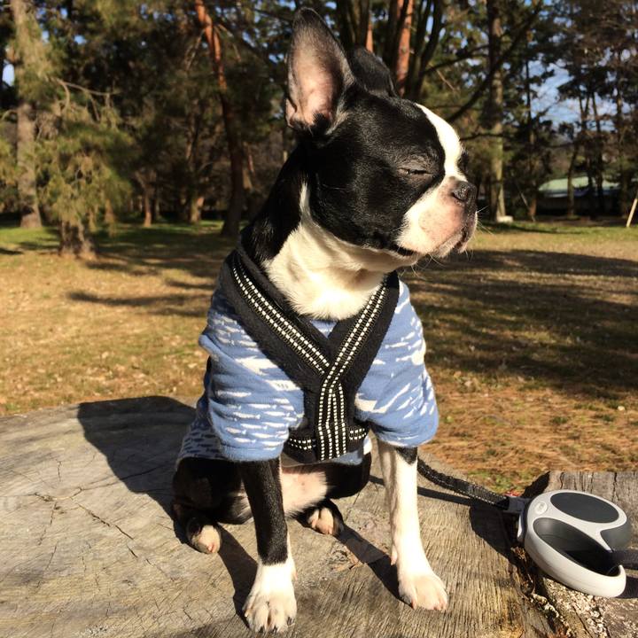 E583ee65 d7e6 44f4 9976 4f8379185475