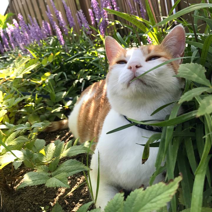 E584516b 8777 47e7 a0f0 f1daf26dae70