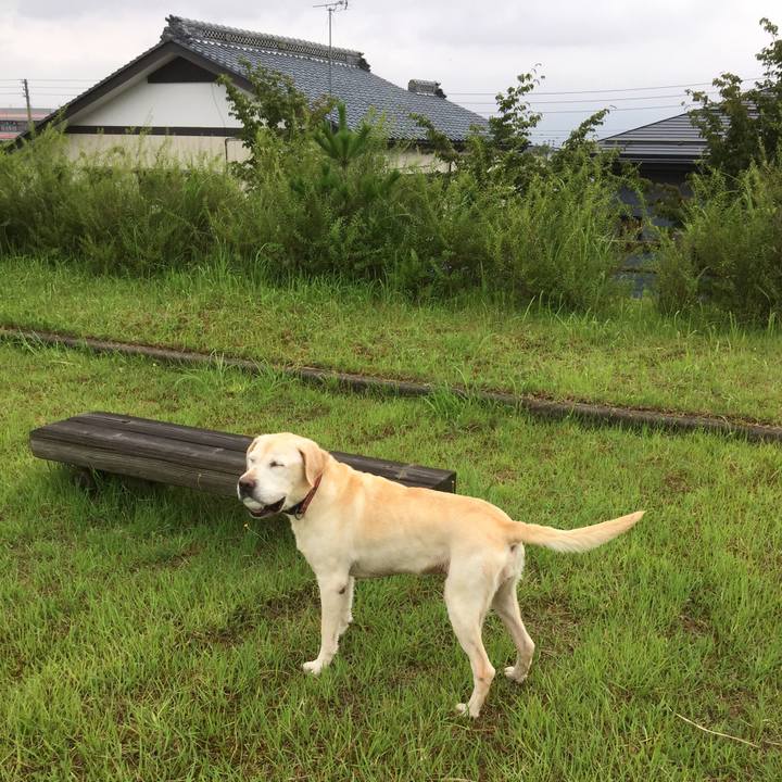 E584557d 90d5 42e5 ab86 f33f0409936d