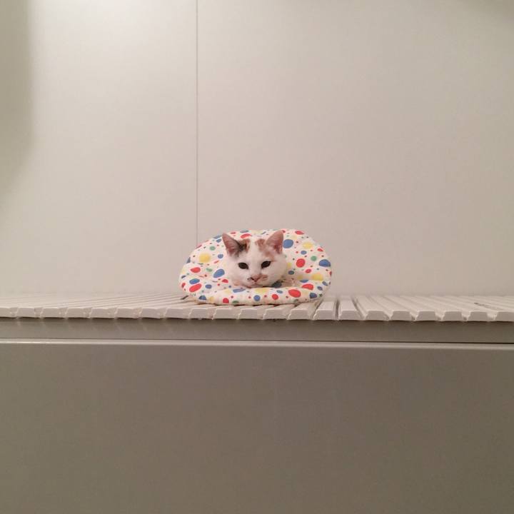 E584a513 03fc 4964 ad68 ba254a83e667