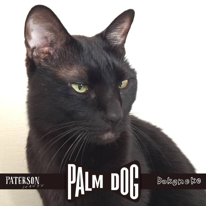 E585c69d 9e3a 44a7 a82f d3076ae8509c