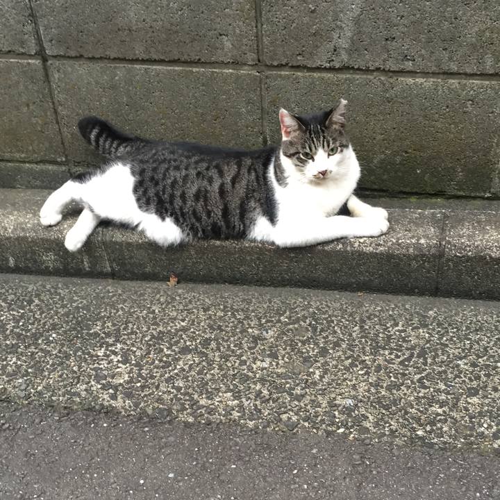 E585ce46 fd58 4a52 969d ab924c03169b