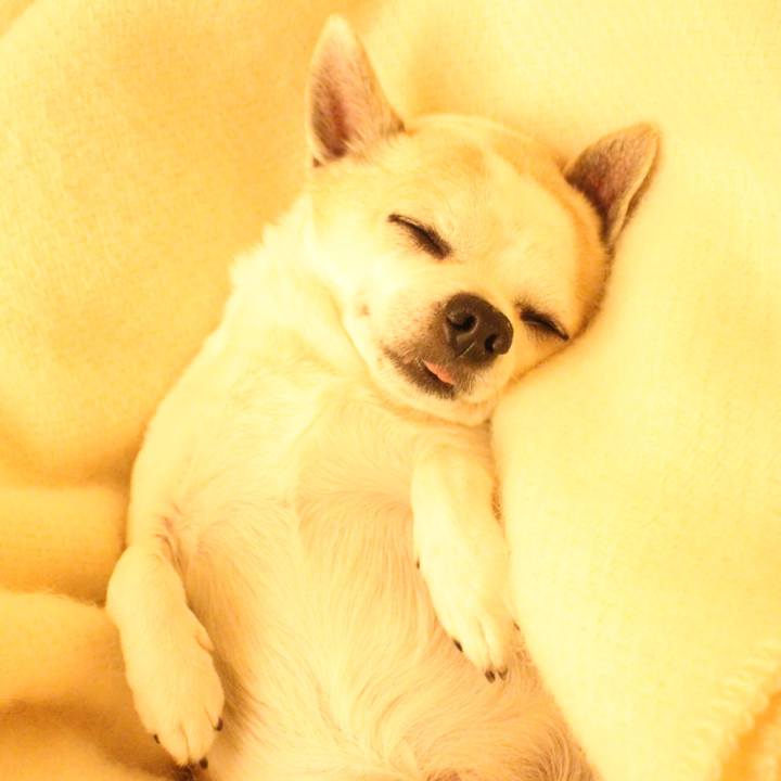 E5860de2 c857 4a0e b41f 1867cb777189