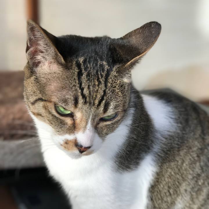 E5861e33 30bd 4756 850e 04b480b8b94d