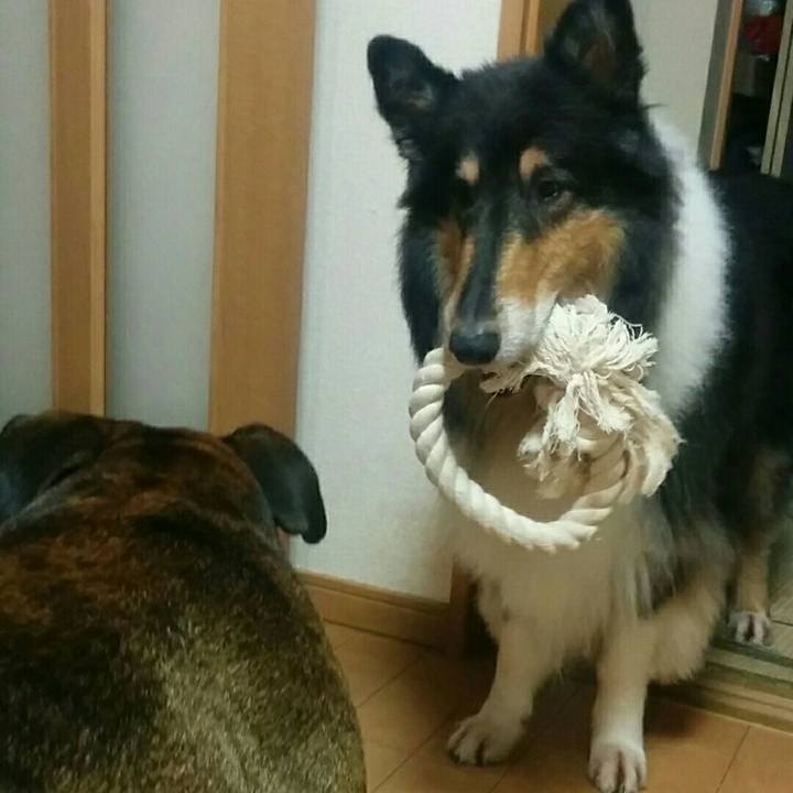 E5863ae9 d611 48c2 ae1e b24fd1a0c816