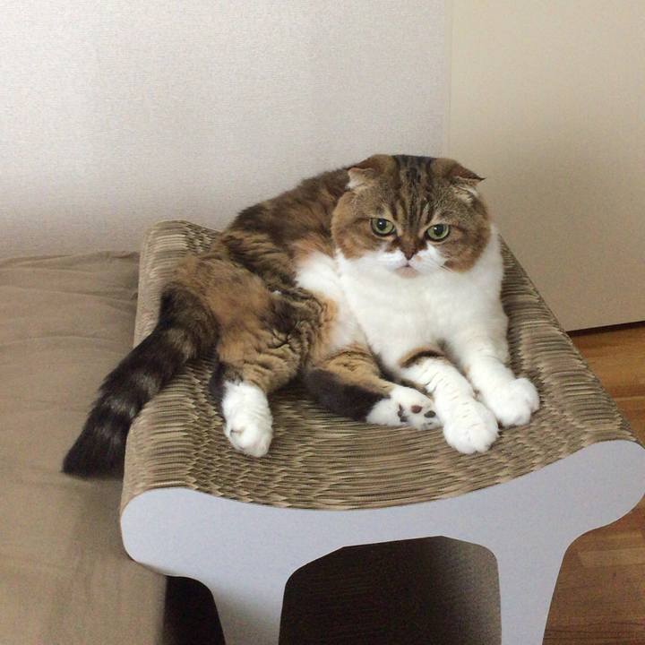 E586a3d9 103d 450a 981b e9f15220079c