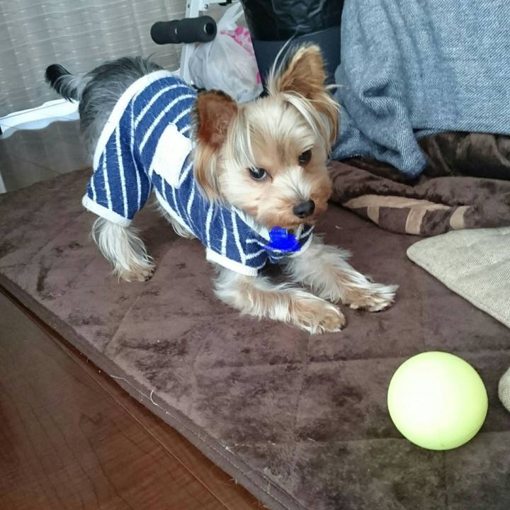 E5877881 a9f5 4788 8d39 8061ed98ef50