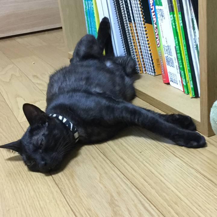 E5882678 666a 4e8f a7d8 b6d8df1e3d08