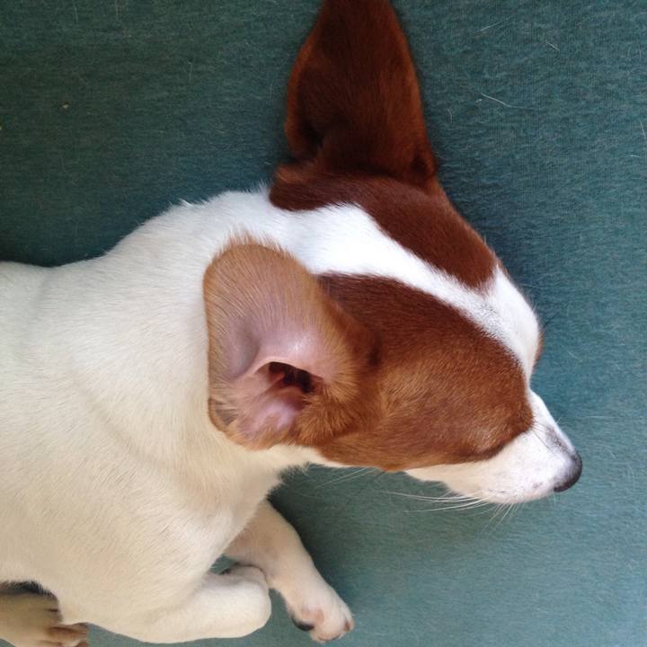 E58864ea aa91 4e3e b12e 507fde833eb9