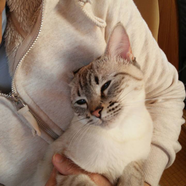 E588bf4c 95fa 40e5 b955 a6a35d9edadc