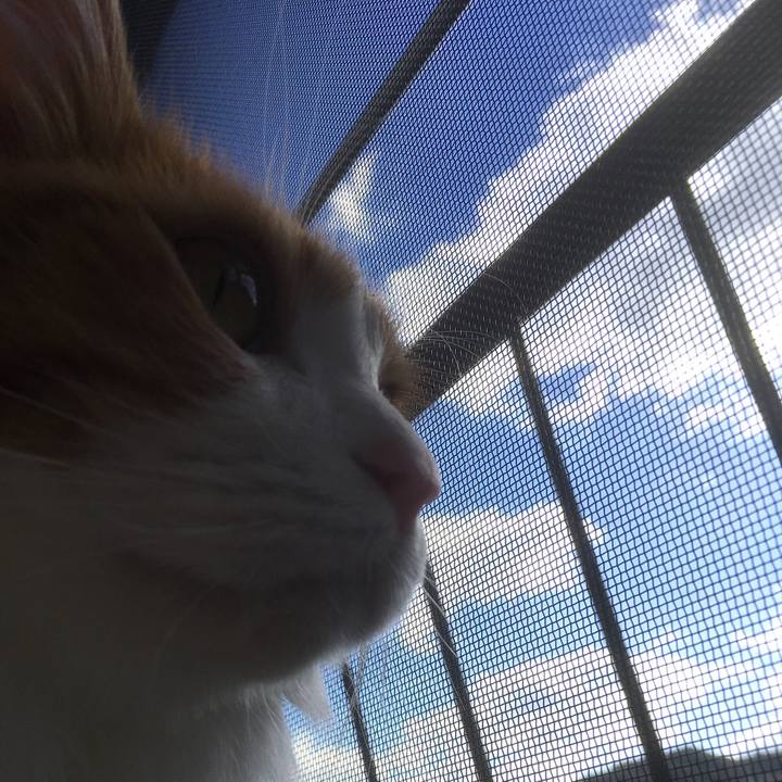 E58952b2 4173 4be9 9e2f f5c07dd8a7c2