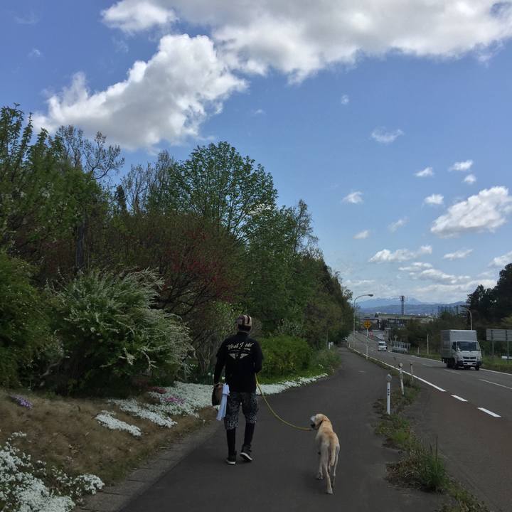 E58a0190 6bf2 4e35 a17d 0d8c80058923