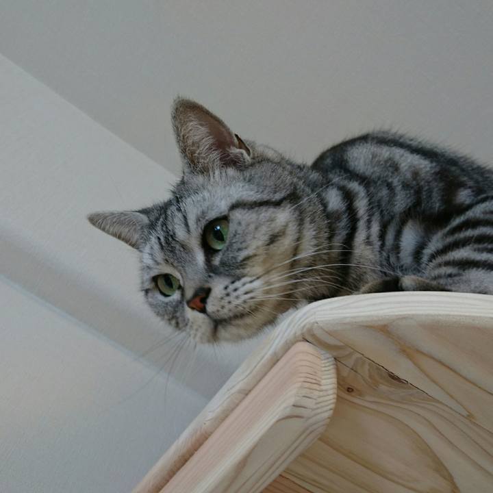 E58a04e1 8f96 46e2 a2c0 8e7915537cf7