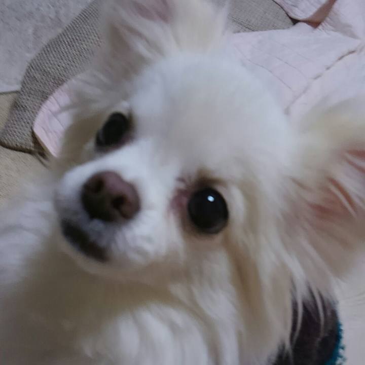 E58a6807 ae2a 445e 9c8a 42a87519001b