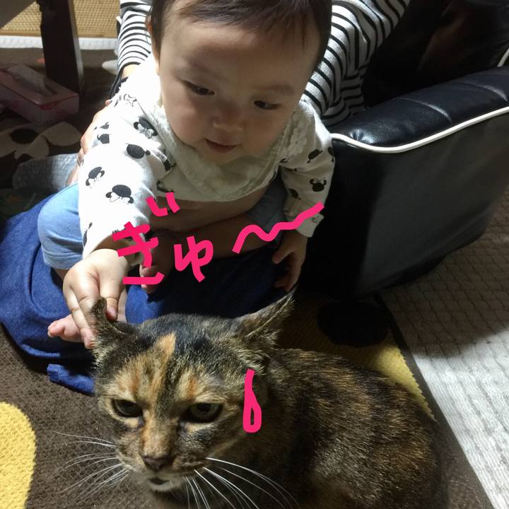 E58a955d 9138 4077 a7b7 a552fa3c19fc