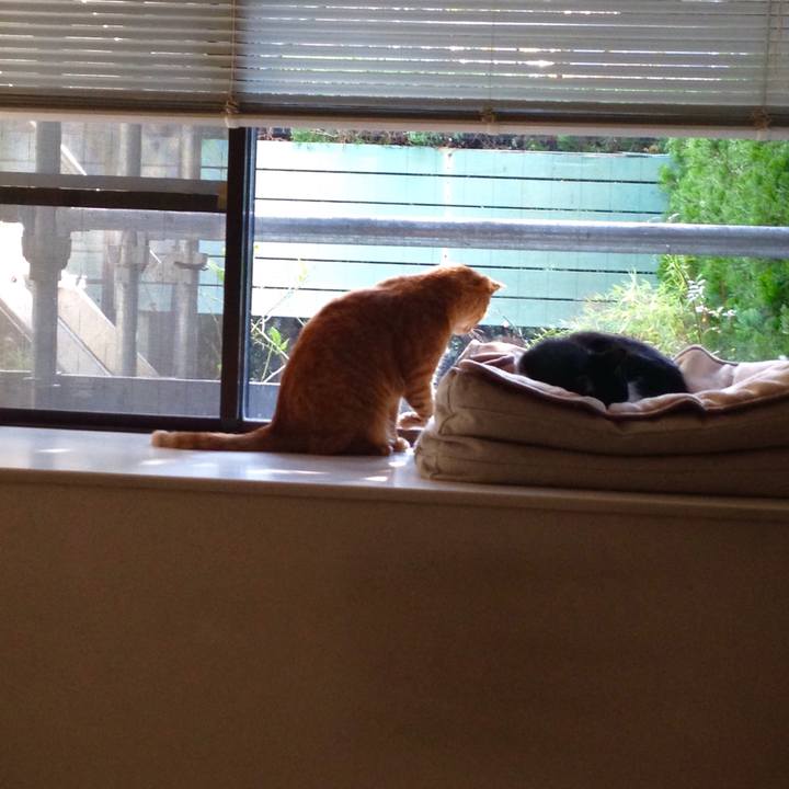 E58b24ac 2ccb 4356 81c6 5aae4ce2085f