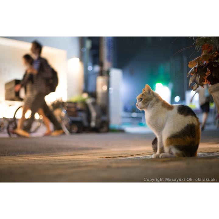 E58c8954 481e 4968 af5f fad77fdd06c3