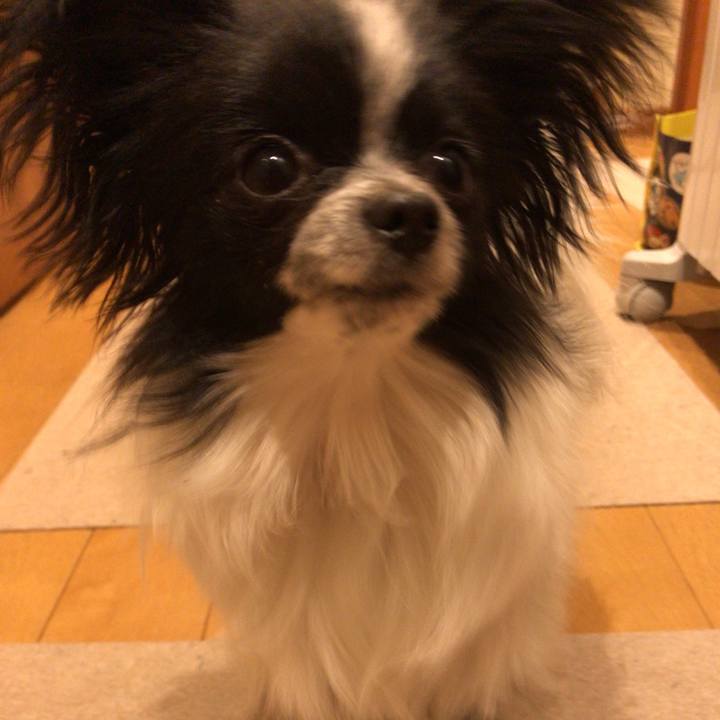 E58c96bb 834c 45ab 9c09 6858d89f1d2d