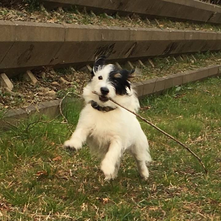 E58e0b86 6dbc 433c 8e78 1275edb5999e