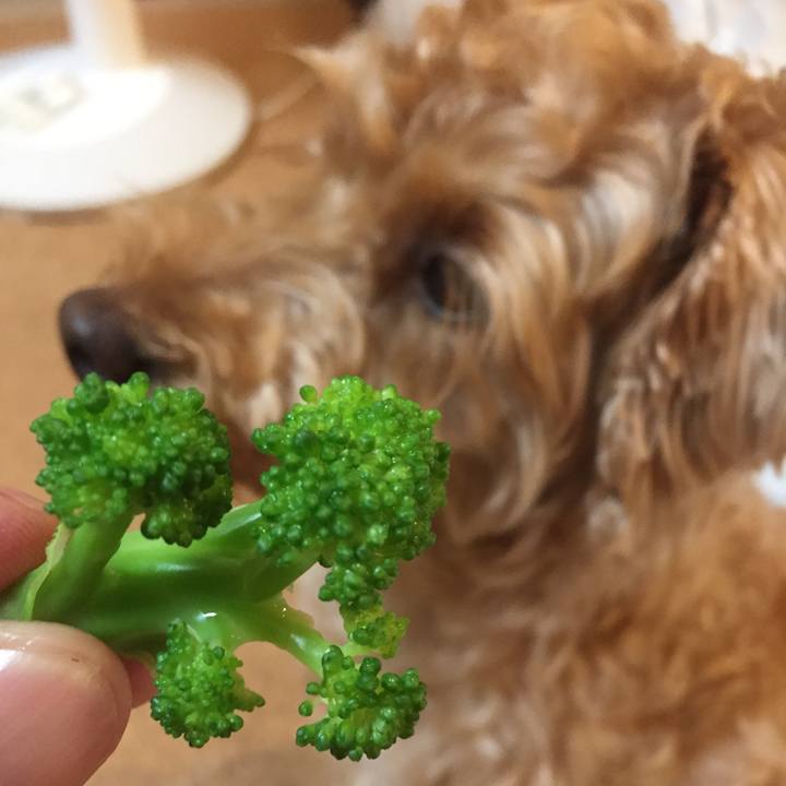 E58e6d3f 83ee 4622 827c 6ad57929d80c