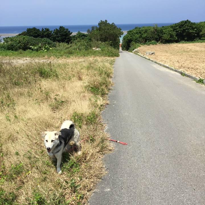 E58e90b8 d04a 435e 8f77 5c4cf4af7c45