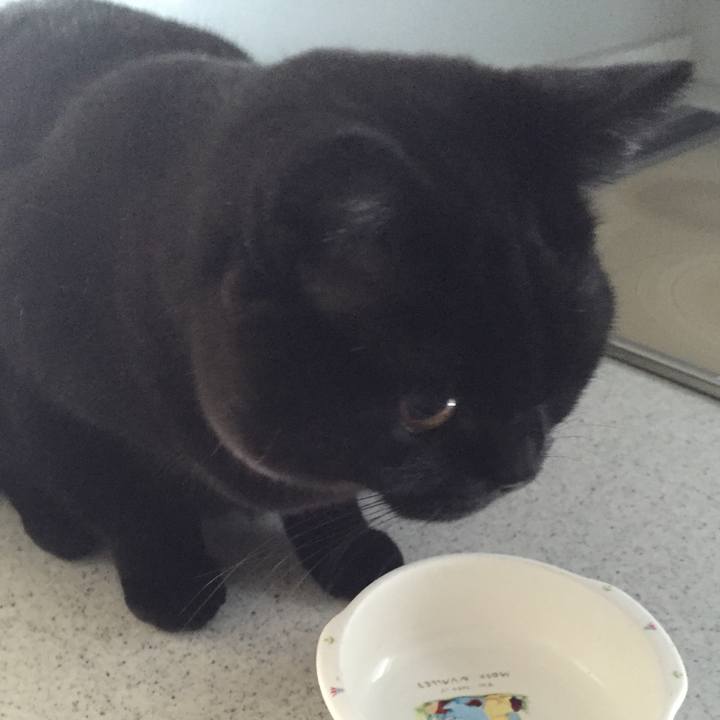 E58fb208 c690 4172 a650 dc0887d67b87