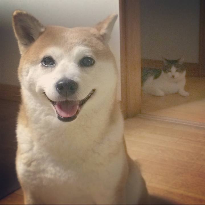 E5908e29 4b78 4c0c a674 863b4318673f